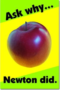 Ask Why - Newton Did - Classroom Motivational Poster Print