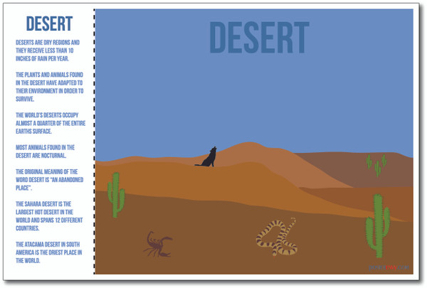 Desert - NEW World Habitat Ecosystems Poster (ms267)