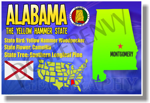 Alabama Geography -  U.S. State Travel Social Studies PosterEnvy Poster (tr519)