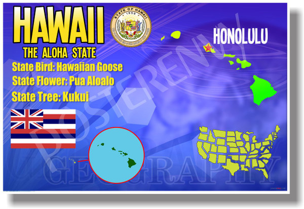 Hawaii Geography - NEW U.S Travel Poster (tr524)