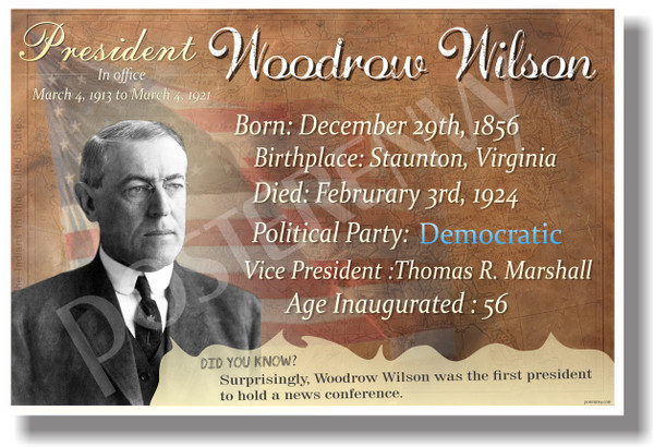 Presidential Series - U.S. President Woodrow Wilson - New Social Studies Poster (fp397) American History PosterEnvy WWI World War 1