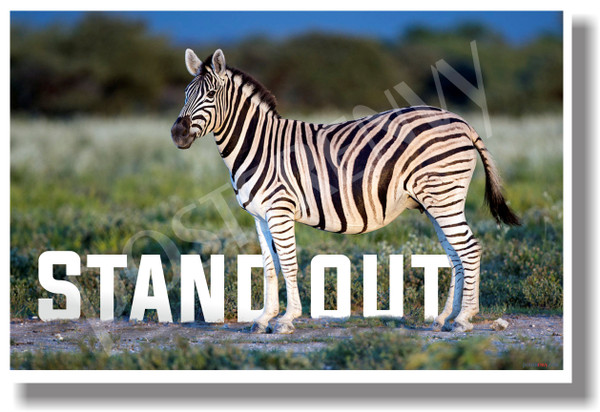 STAND OUT Zebra Positive Attitude Motivational Classroom Poster (cm1046) PosterEnvy School Animal Proud Pride