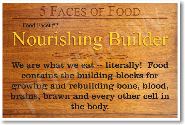 5 Faces of Food Nourishing Builder NEW Healthy Foods and Nutrition health Poster (he061)