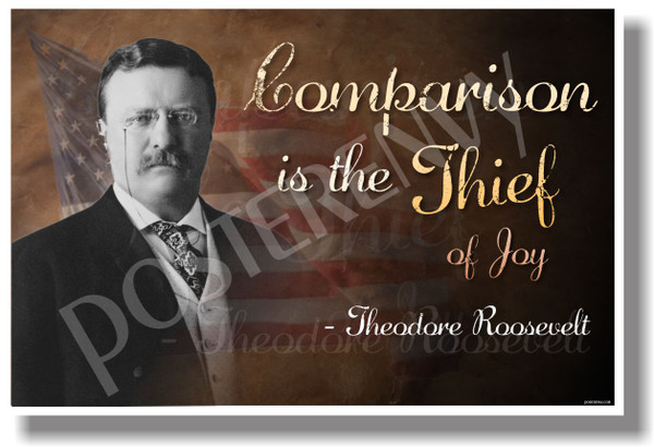 Comparison is the Thief of Joy President Teddy Theodore Roosevelt NEW School Students Teachers Classroom Motivational Poster (cm1071)