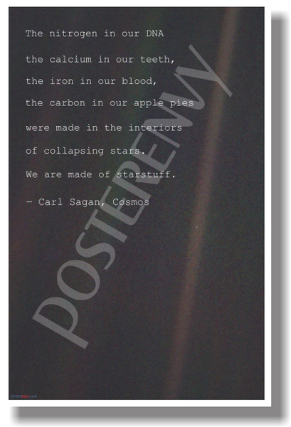 The Nitrogen In Our DNA... - Carl Sagan, Cosmos - NEW Science Classroom Physics Poster (ms304)