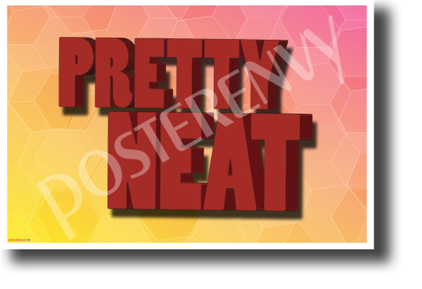Pretty Neat NEW Classroom Motivational Poster (cm1172) PosterEnvy funny