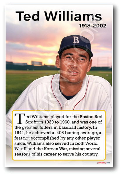 Ted Williams - Baseball Icon - Biography Poster 18 x 12 inch