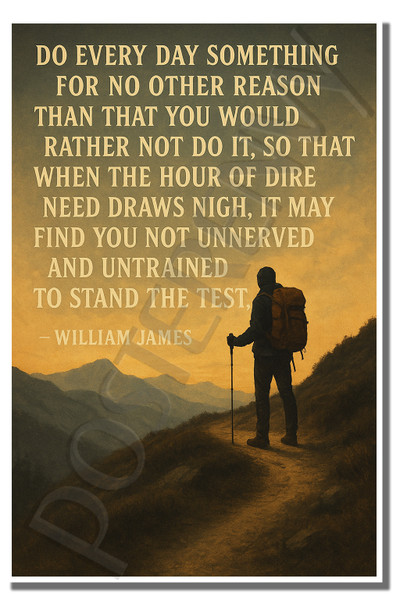 Do every day something for no other reason than that you would rather not do it - Inspirational Poster - 18 inch x 12 inch