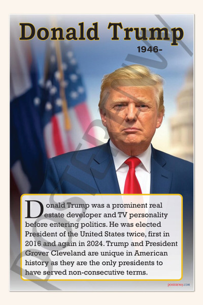 Donald Trump - 45th U.S. President & Businessman - Biography Poster 18" x 12"