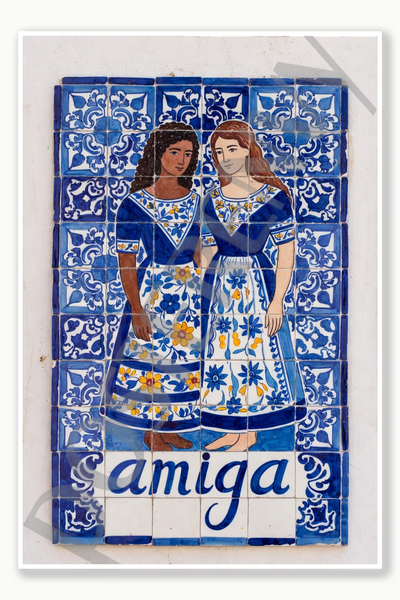 friend - amiga Poster - 18 inch x 12 inch