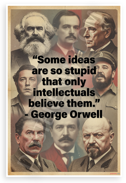 George Orwell "Some Ideas Are So Stupid Only Intellectuals Believe Them" Vintage 12x18 US Made Poster