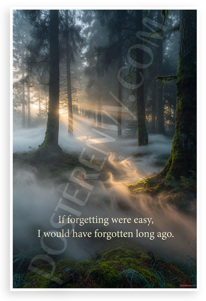 If Forgetting Were Easy I Would Have Forgotten Long Ago Misty Forest Inspirational 12x18 US Made Poster