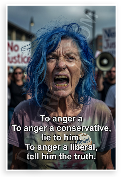 "To Anger a Conservative Lie to Him To Anger a Liberal Tell Him the Truth" Satirical Political 12x18 US Made Poster