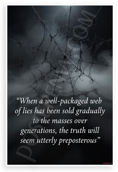 "Well-Packaged Web of Lies" Truth Quote Dark Web 12x18 US Made Poster