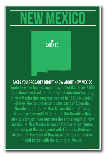 New Mexico - NEW U.S Travel Poster