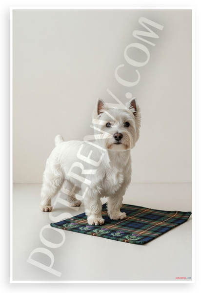West Highland White Terrier Scottish Tartan Thistle Heritage 12x18 US Made Poster