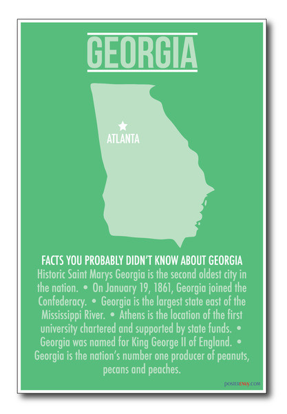 Georgia - NEW U.S Travel Poster