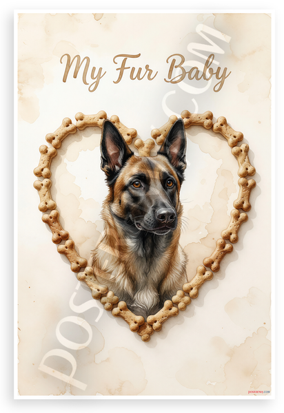 My Fur Baby Belgian Malinois Dog Bone Heart Vintage Watercolor 12x18 US Made Poster