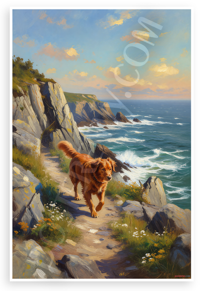 Nova Scotia Duck Tolling Retriever Coastal Cliffs Nova Scotia Landscape 12x18 US Made Poster