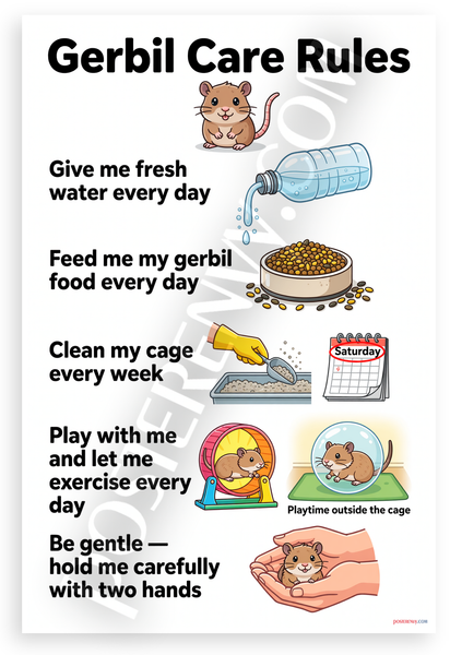 Gerbil Care Rules Educational 12x18 US Made Poster
