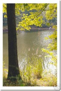 Waterscape #10 - Coming of the Fall - Poster