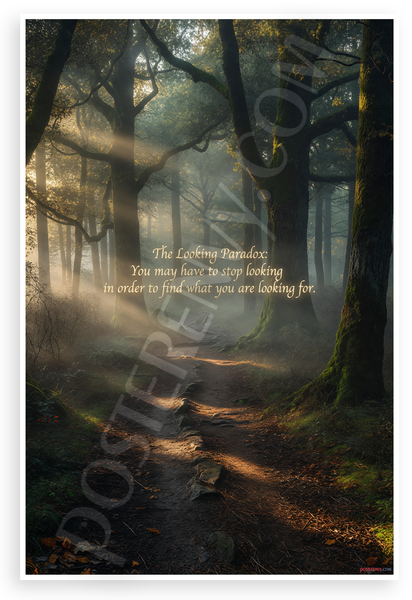 The Looking Paradox "You may have to stop looking" Inspirational 12x18 US Made Poster