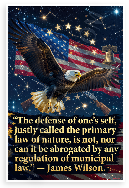 James Wilson 'Defense of One's Self Primary Law of Nature' Patriotic 12x18 US Made Poster