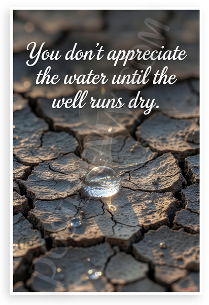 "You Don't Appreciate the Water Until the Well Runs Dry" Inspirational 12x18 US Made Poster