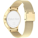 Vista trasera del Calvin Klein Timeless Mesh 38mm 25200003 con caja y correa de malla en acabado dorado