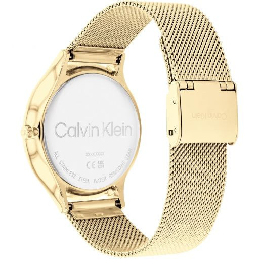 Vista trasera del Calvin Klein Timeless Mesh 38mm 25200003 con caja y correa de malla en acabado dorado