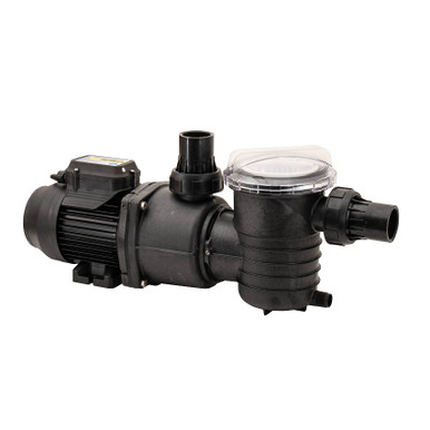 Enduro Gemini Twin Speed Pump