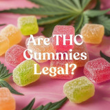 Are THC Gummies Legal? 