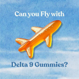Can You Fly with Delta 9 Gummies? Can You Fly with Delta 9 Gummies?