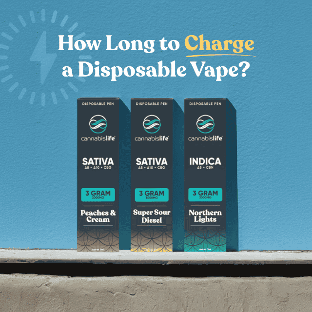 How Long to Charge a Disposable Vape?