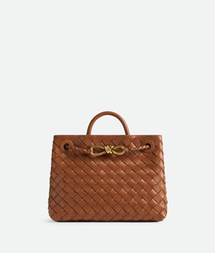 BOTTEGA VENETA Andiamo Small Format