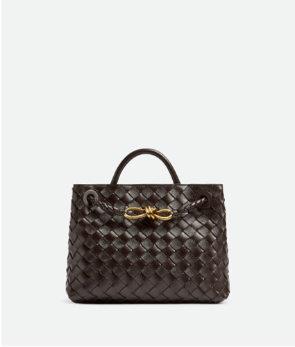 BOTTEGA VENETA Andiamo Small Format