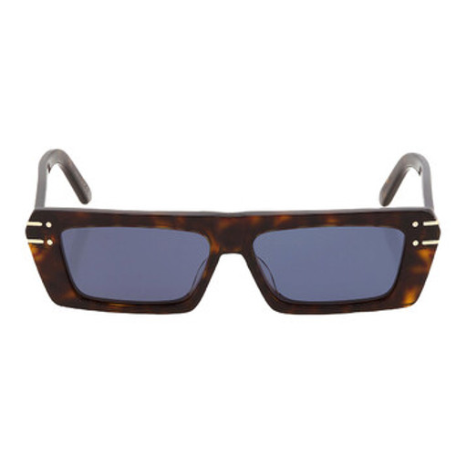 DIOR  Blue Browline Ladies Sunglasses