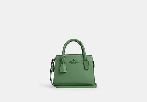COACH Andrea Carryall Bag LEATHER/SILVER/SOFT GREEN Image 6