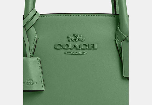 COACH Andrea Carryall Bag LEATHER/SILVER/SOFT GREEN Image 10