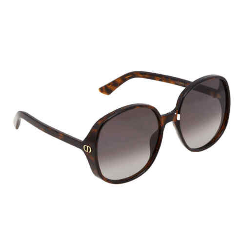 DIOR Gradient Smoke Oversized Ladies Sunglasses