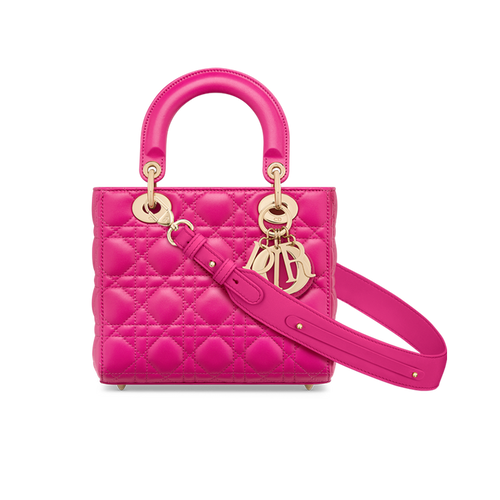 Lady Dior Bag Reference Guide - Spotted Fashion