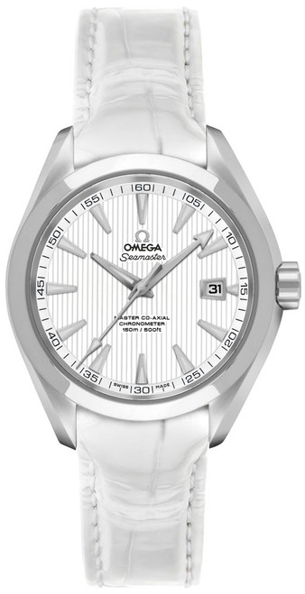 OMEGA Seamaster Aqua Terra 231.13.34.20.04.001 Image 1