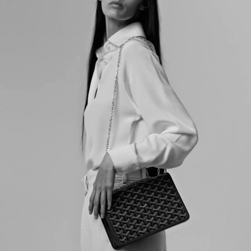 GOYARD Alexandre Iii Bag