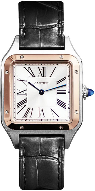 CARTIER Santos-Dumont Large Silver Dial Men'S Watch W2Sa0011 Image 1