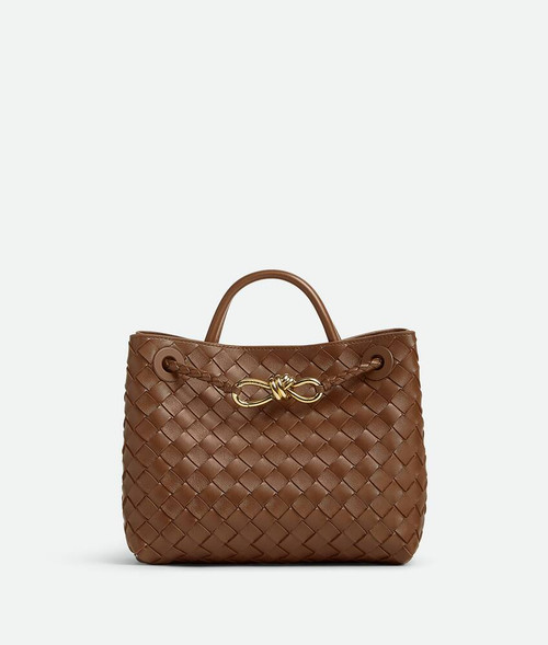 BOTTEGA VENETA  Andiamo Small Format