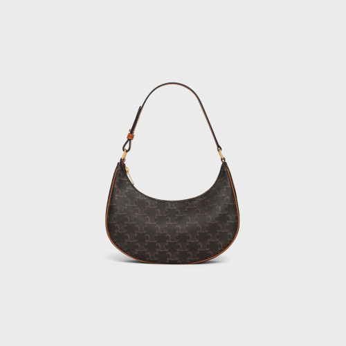 CELINE Ava Bag in Triomphe Canvas and Calfskin (@Delhi Studio)