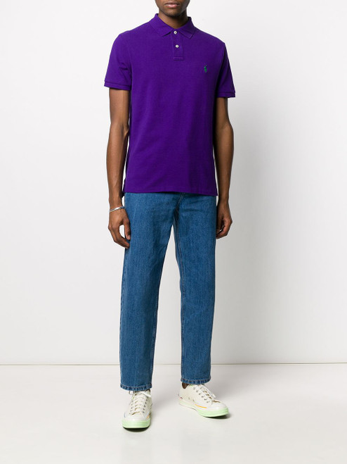 POLO RALPH LAUREN short sleeve embroidered logo polo shirt (@Delhi Studio)