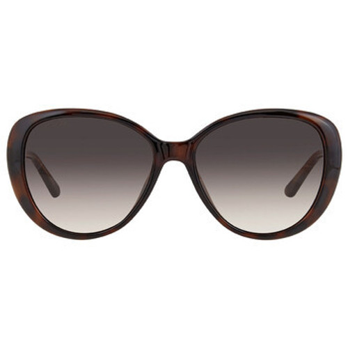 JIMMY CHOO Brown Gradient Butterfly Ladies Sunglasses ( Arriving In Delhi ) JIMMY CHOO Brown Gradient Butterfly Ladies Sunglasses ( Arriving In Delhi )