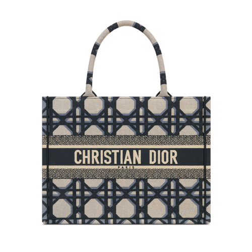 DIOR Book Tote Medium Beige And Blue