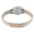 ROLEX President Tridor White Yellow Rose Gold Diamond Ladies Watch 69179 Image 9